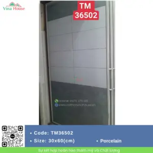 Gạch ốp tường 30x60 Mikado TMT36502
