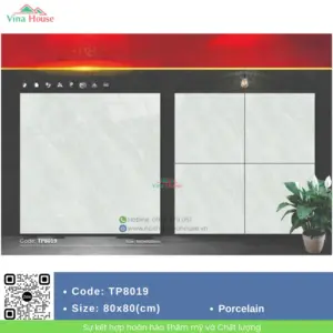 Gạch 80x80 Mikado TP8019 bóng