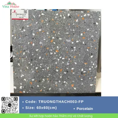 Gạch 60×60 Đồng Tâm TRUONGTHACH002-FP