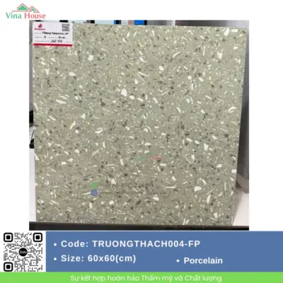 Gạch 60×60 Đồng Tâm TRUONGTHACH004-FP