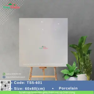 Gạch 60x60 Viglacera TS5-601 bóng
