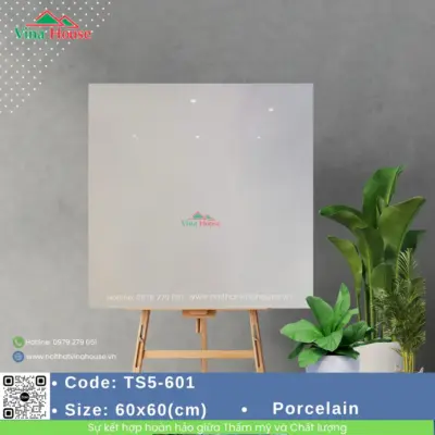 Gạch 60×60 Viglacera TS5-601 bóng