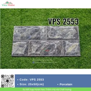 Gạch 25x50 Viglacera VPS2553