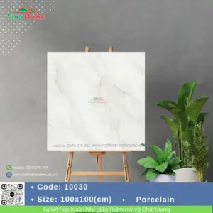Gạch 100X100 Catalan 10030 bóng