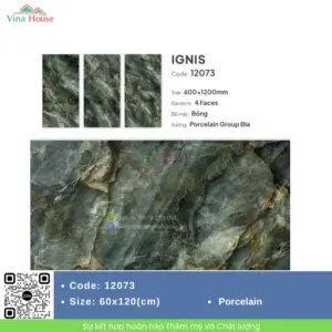 Gạch 60x120 Catalan 12073 Bóng