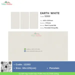 Gạch 60x120 Catalan 12203 Matt
