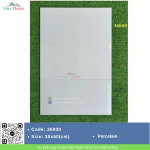 Gạch 30x60 APODIO 36800