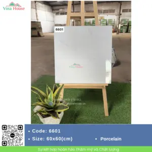 Gạch 60x60 Hà Thanh 6601
