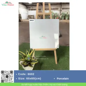 Gạch 60x60 Hà Thanh 6602