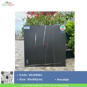 Gạch 60x60 APODIO 66169901 Matt