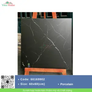 Gạch 60x60 APODIO 66169902 Matt