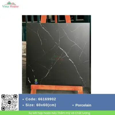 Gạch 60×60 APODIO 66169902 Matt