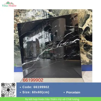 Gạch 60×60 APODIO 66199902 Bóng