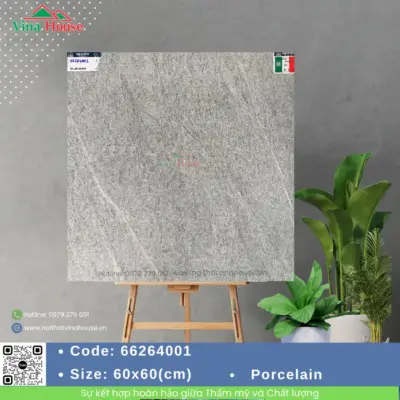 Gạch 60×60 APODIO 66264001 Matt