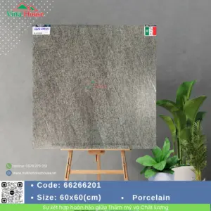 Gạch 60x60 APODIO 66266201 Matt