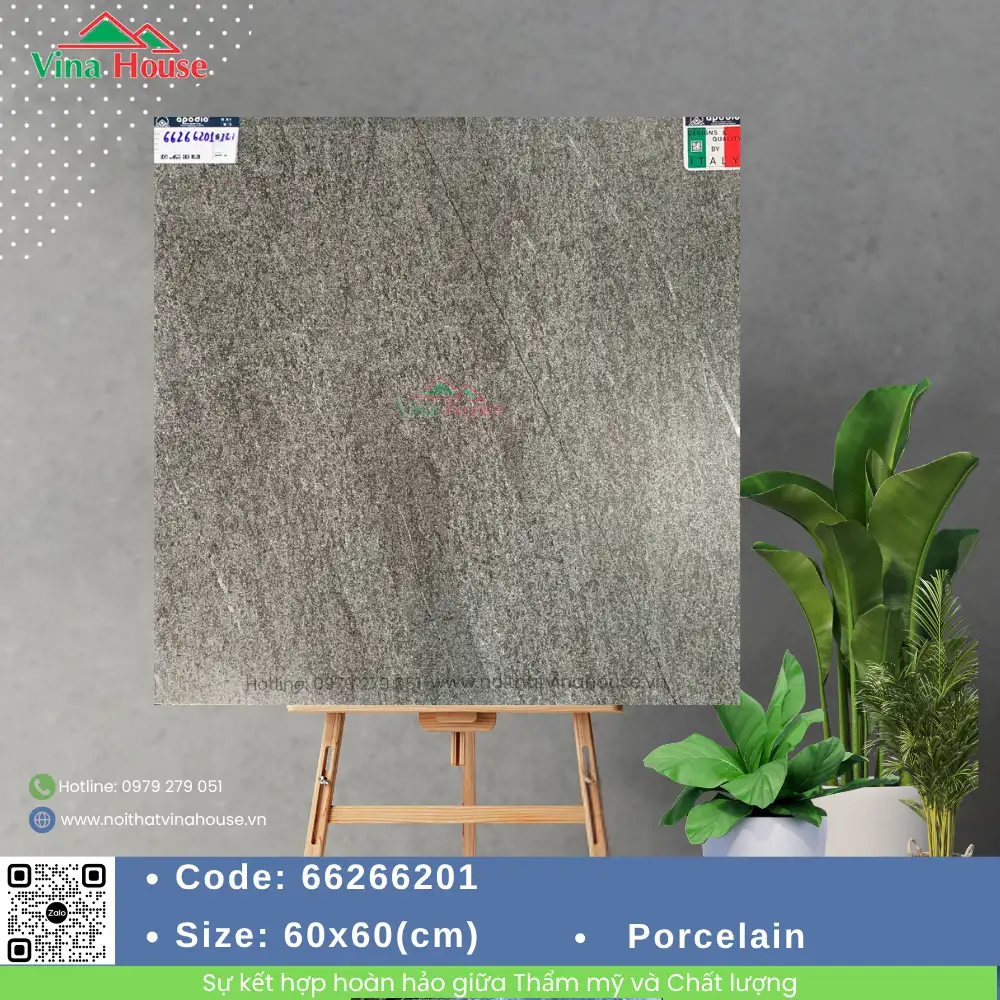 Gạch 60x60 APODIO 66266201 Matt