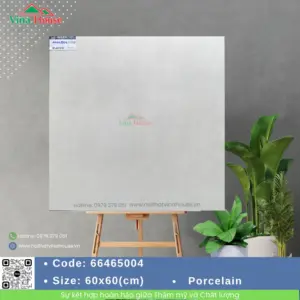 Gạch 60x60 APODIO 66465004 Matt