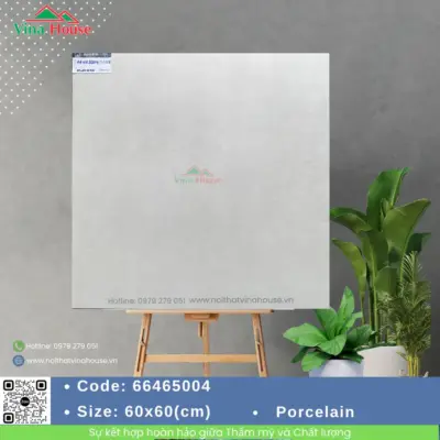 Gạch 60×60 APODIO 66464004 Matt