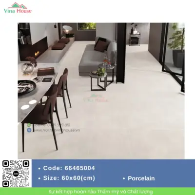 Gạch 60×60 APODIO 66464004 Matt
