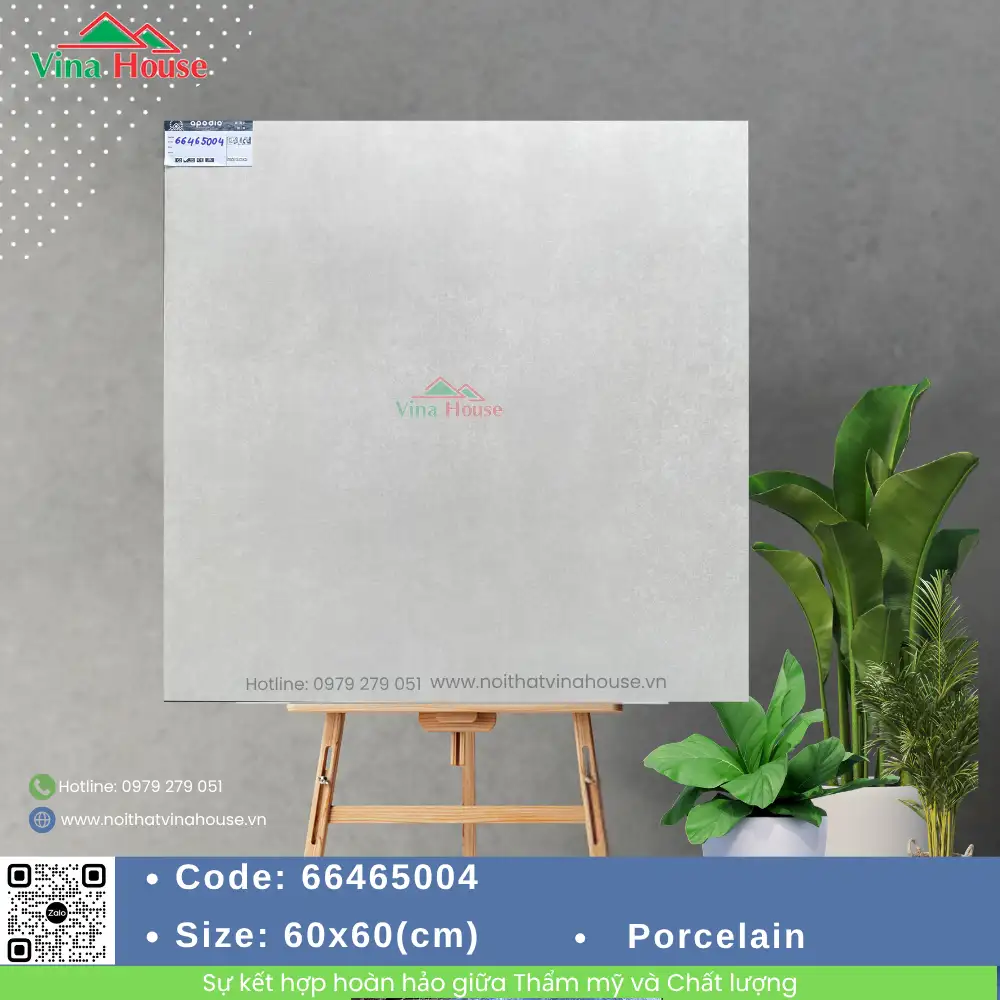 Gạch 60x60 APODIO 66465004 Matt