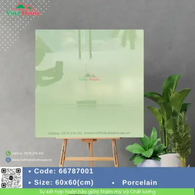 Gạch 60×60 APODIO 66787001 Bóng