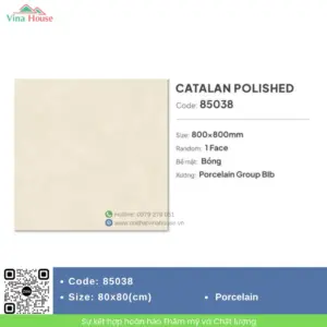 Gạch 80x80 Catalan 85038 Bóng