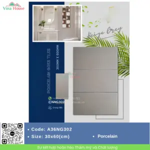 Gạch 30x60 APODIO A36NG302 matt