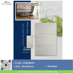 Gạch 30x60 APODIO A36SB301 matt