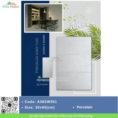Gạch 30×60 APODIO A36SW301 matt