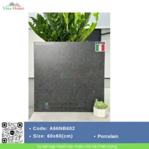 Gạch 60x60 APODIO A66NB602 Matt