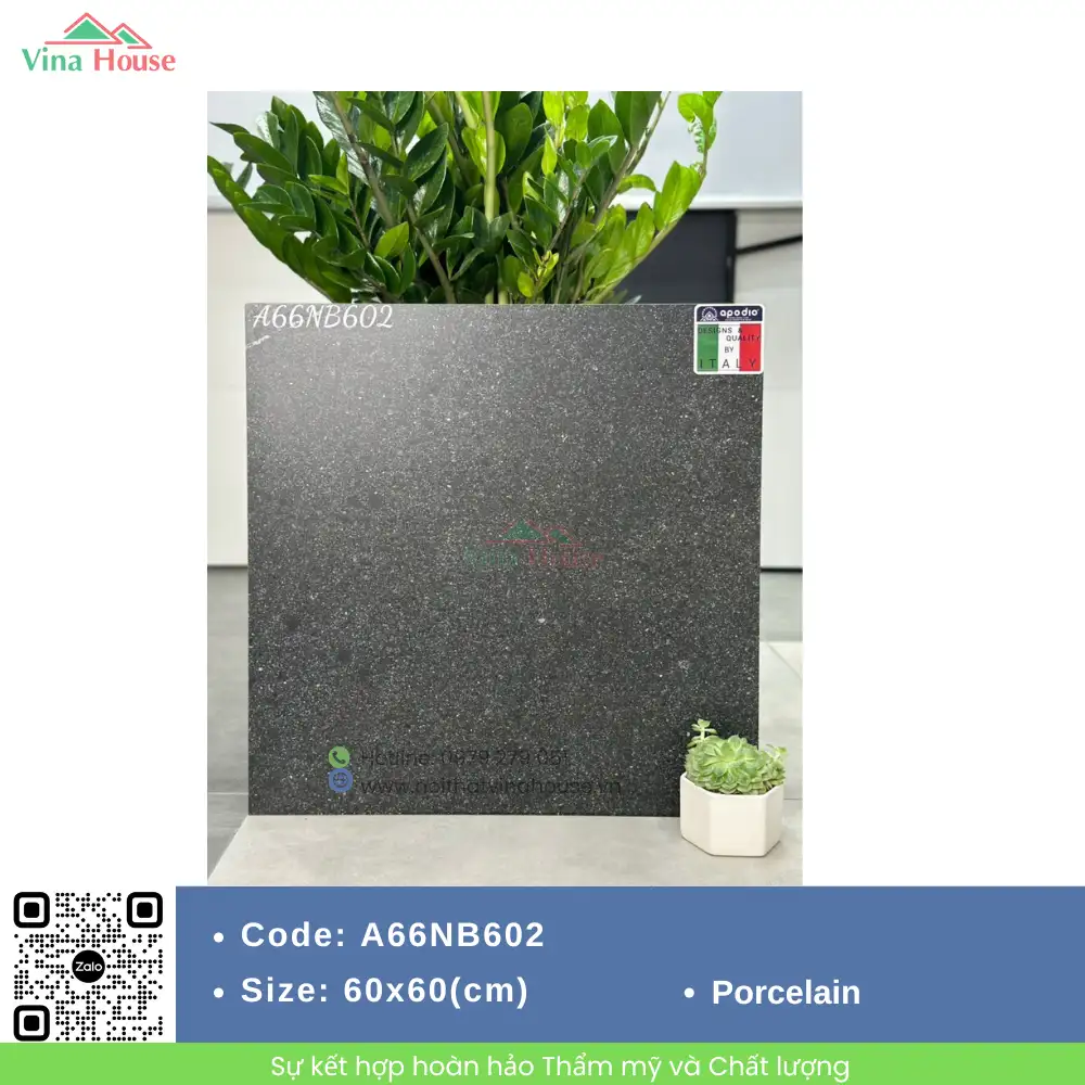 Gạch 60x60 APODIO A66NB602 Matt