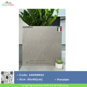 Gạch 60x60 APODIO A66NM602 Matt