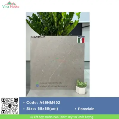 Gạch 60×60 APODIO A66NM602 Matt