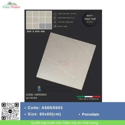 Gạch 60×60 APODIO A66NS603 Matt