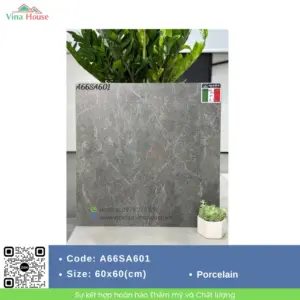 Gạch 60x60 APODIO A66SA601 Matt