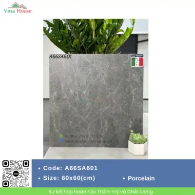 Gạch 60×60 APODIO A66SA601 Matt
