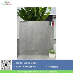 Gạch 60x60 APODIO A66SG601 Matt