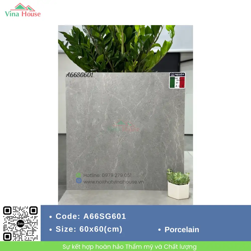Gạch 60x60 APODIO A66SG601 Matt