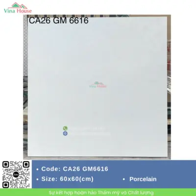 Gạch 60×60 Viglacera CA26 GM6616