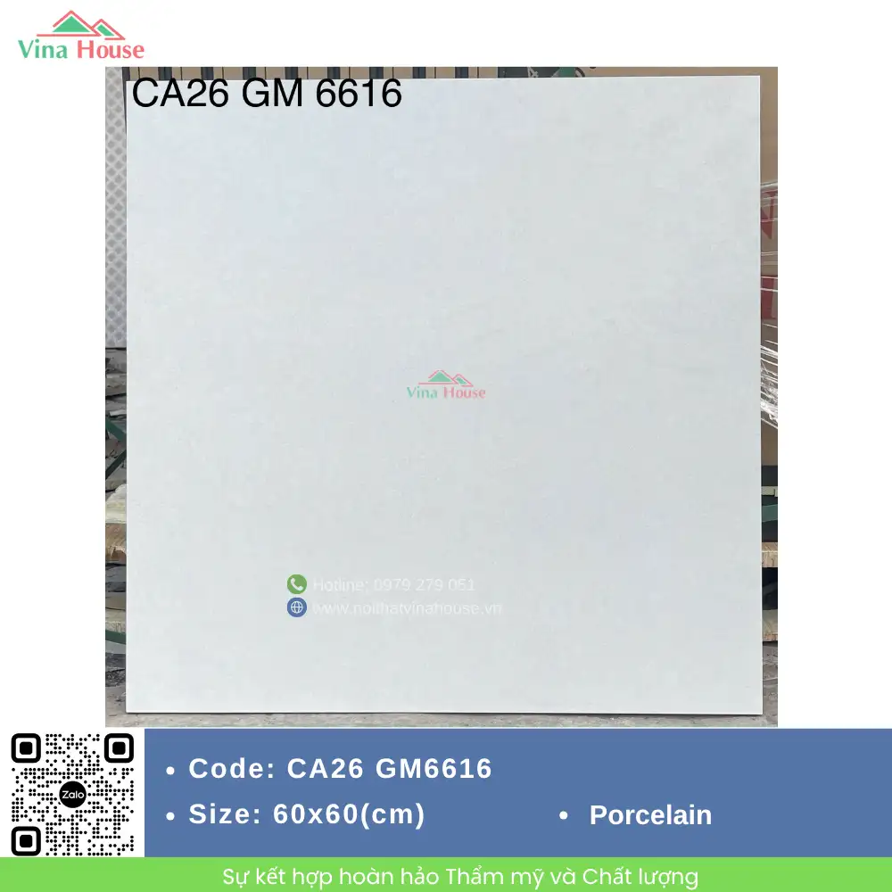 Gạch 60x60 Viglacera CA26 GM6616