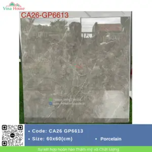 Gạch 60x60 Viglacera CA26 GP6613