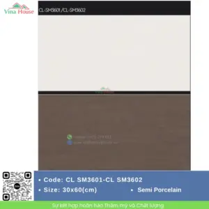 Gạch 30x60 Viglacera CLSM3601-CLSM3602