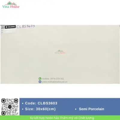 Gạch 30×60 Viglacera CLBS 3603
