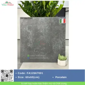 Gạch Sân Vườn 60x60 Apodio FA 12667001