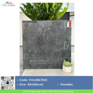 Gạch Sân Vườn 60x60 Apodio FA 12667003