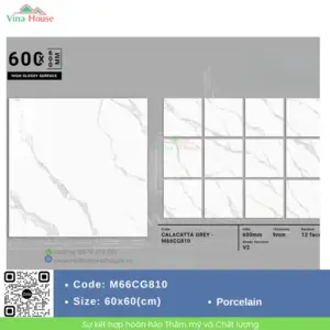 Gạch 60x60 APODIO M66CG810 Bóng