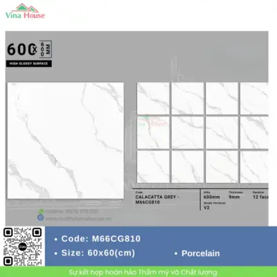 Gạch 60×60 APODIO M66CG810 Bóng