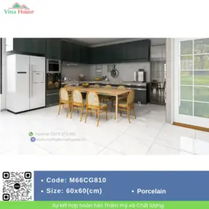Gạch 60x60 APODIO M66CG810 Bóng