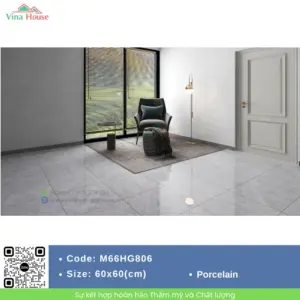 Gạch 60x60 APODIO M66HG806 Bóng