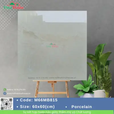 Gạch 60×60 APODIO M66MB815 Bóng